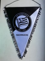 /album/graz-sturm1/sk-sturm-graz-33-jpg/